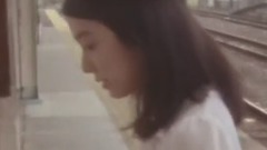 日本群星 - 366日