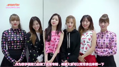 Apink,朴初珑(Apink),吴夏荣(Apink),孙娜恩(Apink),金南珠(Apink) - 官方KAKAO TALK问候影像