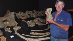 音乐短片 - Man Discovers New Dinosaur Species While Herding Sheep