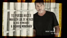 Mariachi Sol de México de José Hernández,Ricardo Montaner - Yo Puedo Hacer (Cover Audio)