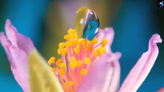 音乐短片 - Colors Of Life (生命的颜色)