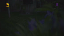  - 你怎么能这样-方尔