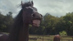 搞笑音乐 - Ržačnyehorses in advertising Volkswagen