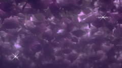 音乐短片 - Stive Morgan