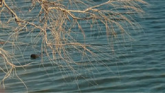 音乐短片 - 秀丽自然风光美景