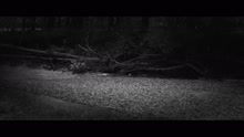 The Civil Wars - Barton Hollow