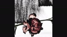 John Legend - Who Do We Think We Are (Pseudo Video)