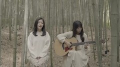 韩国群星 - Wind Petals