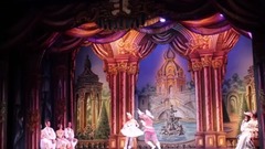 音乐短片 - The Sleeping Beauty