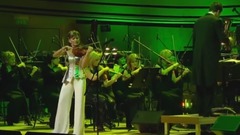 欧美群星,音乐短片 - Flight Of The Bumblebee