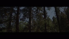 Pharrell Williams - Gust of Wind (Video)