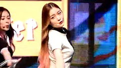DIA - Mr. Potter
