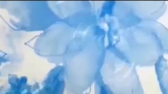 音乐短片 - 悠悠青花瓷 浓浓中国风