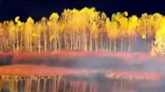 音乐短片 - 九九艳阳天