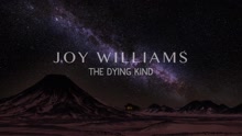 Joy Williams - The Dying Kind (Pseudo Video)