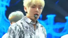 田柾国(防弹少年团),V(防弹少年团),防弹少年团 - 血汗泪(Blood Sweat&Tears)