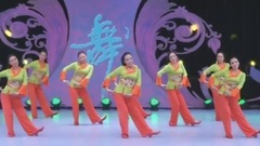舞蹈视频 - 崖畔上开花
