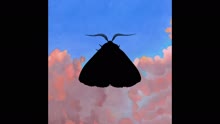 Romeo (Empress Of Remix - Pseudo Video)
