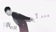 曾沛慈 - 我的泪 歌词版