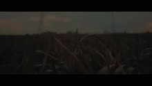 Só Pra Contrariar - Cai Fora (Videoclipe)