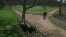 Amish Paradise (Parody of 