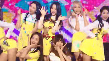 MOMOLAND - Welcome to momoland + JJan! Koong! Kwang! M CONTDOWN 现场版 16/11/10