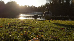 音乐短片 - Google Pixel XL 摄制