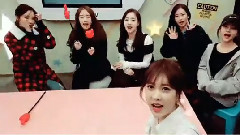 T-ara - Comeback D-1 特别直播
