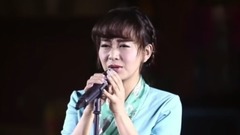 华语群星,民乐群星 - 喜欢你
