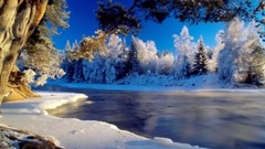 音乐短片 - 初雪吻冬・冬迷人