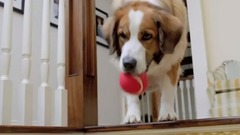 音乐短片 - Реклама Фольксваген