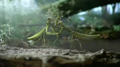 音乐短片 - Смішні реклами автомобіля Volkswagen чорний Жук