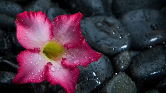 音乐短片 - Where I Sit Is Holy