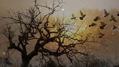 音乐短片 - October