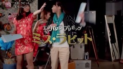 日本群星 - ミス・ラビット