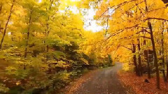 音乐短片 - October