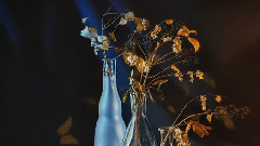 音乐短片 - Nostalgia