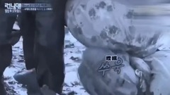 少女时代,太妍(少女时代) - 全世界最好欺负的泰宝宝