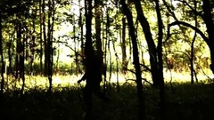 欧美群星 - The Pines
