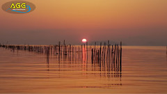 音乐短片 - 日本琵琶湖畔风景