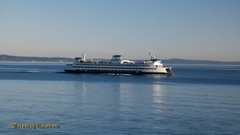 音乐短片 - 美国西雅图的夏日