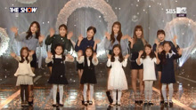 T-ara - TIAMO SBS THE SHOW 现场版 16/11/15