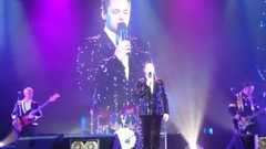 Vitas - 我的天鹅