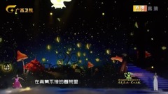 华语群星 - 萤火虫 & 你不知道的事