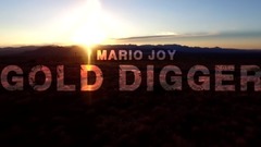 欧美群星 - Gold Digger