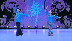 舞蹈视频 - 崖畔上开花 广场健身舞