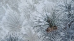 音乐短片 - 吉林雾凇欣赏[2]