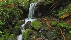 音乐短片 - 溪水颂歌