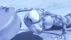 音乐短片 - 法国幽默 动画 小蜥蜴9