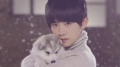 TFBOYS,易烊千玺 - 真心话